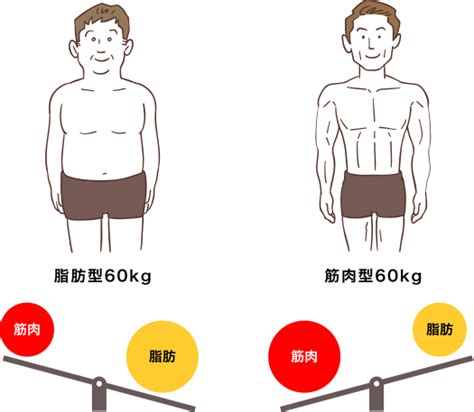 体型をつくるのは脂肪ではなく筋肉 魅力的な「くびれ」にも筋。